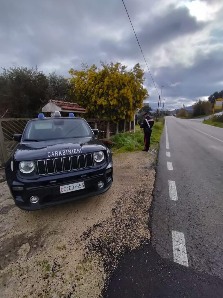 carabinieri priverno