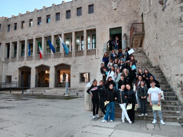 erasmus1