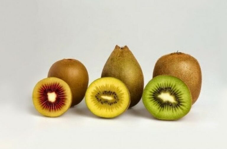 kiwi