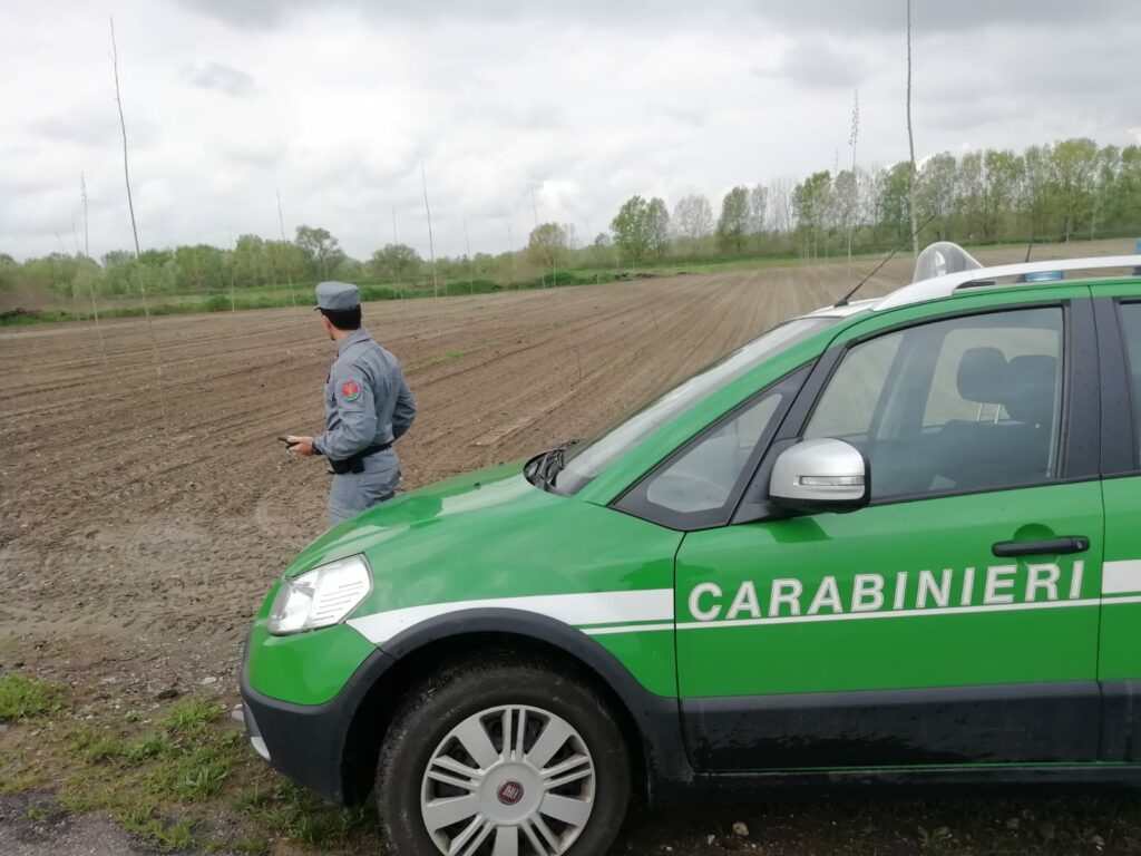 forestali-carabinieri-al